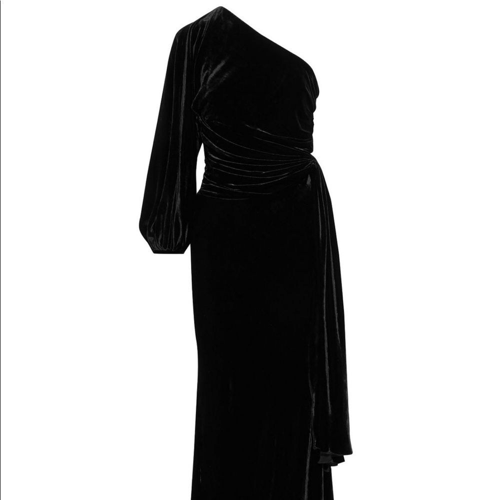 María Lucía Hohan Velvet Evening gown.
